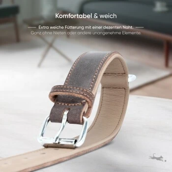 Freudentier Gefüttertes Halsband Aus Leder Dunkelbraun XXL 5 Freudentier Gefüttertes Halsband Aus Leder Dunkelbraun XXL – Bild 5