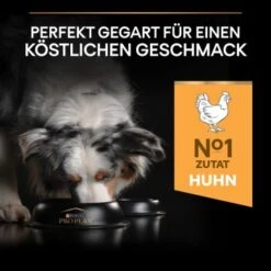 PRO PLAN Optibalance Medium Adult 3 Kg -Hundebedarf Geschäft bb3fa45e0fa8e7e2f3062e95db0ec76872c22bd0 1206414 3