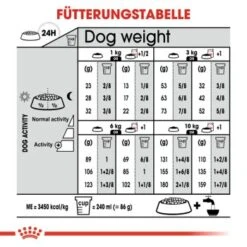ROYAL CANIN Mini Sterilised 8 Kg -Hundebedarf Geschäft bca34a809063a54c7549af216e4b4ad7b785bee9 a34e6e054fd0346848438c5e8c4ae8c587a48bd1