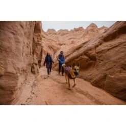 Ruffwear Overcoat Fuse™ Hundejacke Violett XXS 19 Ruffwear Overcoat Fuse™ Hundejacke Violett XXS -Hundebedarf Geschäft be1df80a58a073c4a06905f9850fdb02868343c3 1639761 de DE 6b99be5157e3de813670a6d4268b03b177d774edbPJ4YO