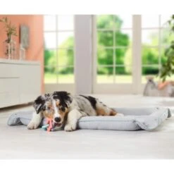 AniOne 2in1 Liegeplatz Pepe & Kitty S -Hundebedarf Geschäft c0b1c57ce9a81460ac4881703e585fea19070439 7b3c609afbafd568a967e70d6389fb43f36e72f6