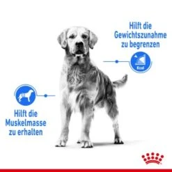 ROYAL CANIN Light Weight Care Medium 12 Kg -Hundebedarf Geschäft c20cbc5fbbaf80a286086f39d304eb3b78f86bf5 1376169 de DE asa 4