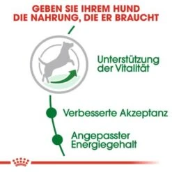 ROYAL CANIN Mini Adult 8+ 8 Kg 9 ROYAL CANIN Mini Adult 8+ 8 Kg -Hundebedarf Geschäft c353b0de3f48a724e716c1c76485d0baab2f2c1c b5e80ca1f67a73b432838d9b8dc4feac61bcbeef