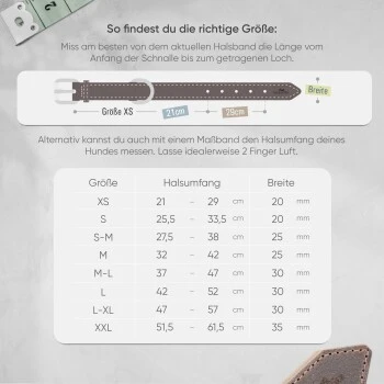 Freudentier Gefüttertes Halsband Aus Leder Dunkelbraun XXL 2 Freudentier Gefüttertes Halsband Aus Leder Dunkelbraun XXL – Bild 2