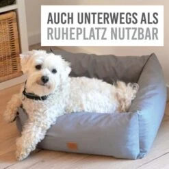 KaraLuna Autositz Kleine Hunde 10 KaraLuna Autositz Kleine Hunde -Hundebedarf Geschäft c43a66d74eef51b612eae7a548cb2b038009505b 1657442 de DE c74c72488e6718cfafbeff5d99ede07a37048260HkNpMo