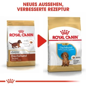 ROYAL CANIN Dachshund Puppy 1,5 Kg 3 ROYAL CANIN Dachshund Puppy 1,5 Kg – Bild 3