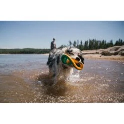 Ruffwear Hydro Plane™ Spielzeug L Blau/ Türkis -Hundebedarf Geschäft c85f56c174e45f26bb8b85eb8209e1187b03cb62 1364299 de DE 9aa31f36273b943af3517e0584e57ea49be3ad7aNQkaUi