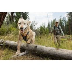 Ruffwear Brush Guard™ Geschirrzubehör S 20 Ruffwear Brush Guard™ Geschirrzubehör S -Hundebedarf Geschäft c88704a120b1ecbe10b5759d1532c5876bf02eec 1651427 de DE 6693c5b56ae972b6dab2ef2f40458870105d43f0wwSvBk
