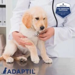 ADAPTIL Junior Halsband Anti Stress Erziehungshalsband -Hundebedarf Geschäft cc4ecc643127360381f3d531fb692c527aa781a6 1287044 5