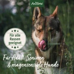 Aniforte Trockenfutter LandChicken - Zartes Huhn Mit Reis 2 Kg -Hundebedarf Geschäft ccdccba22db20132f6ff6d85dd45b1297bf8942a 1668916 de DE ab8d93a2aba26d4d3d9191665a57d8e6fecc366ahRURHR