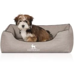 Knuffelwuff Orthopädisches Hundebett Rockland Aus Kunstleder Hellgrau M-L -Hundebedarf Geschäft cddbe657f65275c958b8c0c7cf556c70e548410b 1411979 de DE 2db7865b3b4dcec9e1306995fbe3319c3155ec59hlJfQB