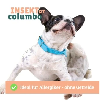 BeG Buddy Trockenfutter Insekten 10 Kg 6 BeG Buddy Trockenfutter Insekten 10 Kg – Bild 6