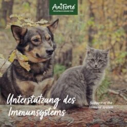 Aniforte Bio Kokosöl 400 Ml 6 Aniforte Bio Kokosöl 400 Ml -Hundebedarf Geschäft cf891a21e9b38fc25e7426a3c8c82ead8da582ac 1458838 de DE 889e7afee65c0b82eee0e0cfafb8b4e7cf9d1be4fEkt3D