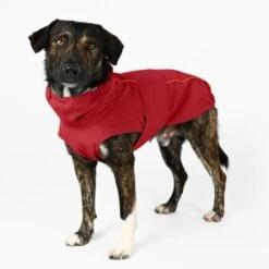 THE DOG IDEA Regenmantel Duke Rot XXXS -Hundebedarf Geschäft d083d3aa5bf7a92a10edd60af22366a875982303 1487619 de DE 658faa6557ddb291378da1b56ec73f187aaaca1eiubhAM
