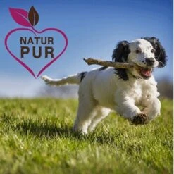 Fit-Crock Active Lamm Mini 10 Kg -Hundebedarf Geschäft d086dad7100dbdf41486dc1e184e8b3e19e70f2f 1669874 de DE e6cef6c805493de794606a88a99e94e07eba83d7iihYJV