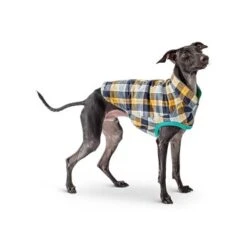 GF Pet Reversible Trail Jacke Grün XXS -Hundebedarf Geschäft d0d86a70089b79c26342e2430bae8caf960ccaed befa58813c2949e634e5b991f29c2ef187a974fc