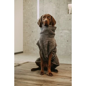 Lills Lill's Hundebademantel "Night Blue" 35 Cm 3 Lills Lill's Hundebademantel "Night Blue" 35 Cm – Bild 3