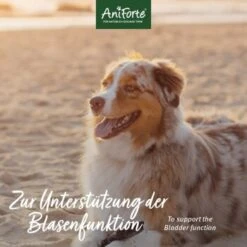 Aniforte Blasen-Formel 100 G 7 Aniforte Blasen-Formel 100 G -Hundebedarf Geschäft d25d3661361b06eee38a04b20938bbdf85998be2 1422215 de DE a0c210c4cd86bcfbfd66be1e960c83da8c5f98afnDvGsl