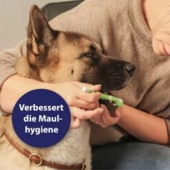 Canosept Zahnpflege-Set Für Hunde -Hundebedarf Geschäft d3527ed20311c26905cc21d326812cefdd56476d 1382706 de DE f1dd7678e896b8abfecbaf661ecaf238a0e628638erujn