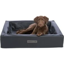 Trixie Vital Bett Remo 60 Cm, 60 Cm, 15 Cm -Hundebedarf Geschäft d3d84c6ec3b3427726f4818575138e45f6a5cff7 1383482 de DE 950f9fc3ea4d1d66aa9353483ea99041785d3cdbW6zkYm