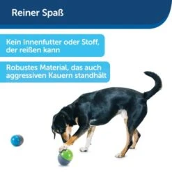 PetSafe Elektronisches Hundespielzeug Ricochet -Hundebedarf Geschäft d4449f153a2c132dbacdcffdb9e5bd1534d39124 1418724 de DE f83cfc689e8023f0b85b6eeadf79a2629df4d4f153I9wY
