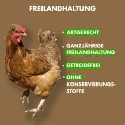 Irish Pure Senior - Huhn + Gemüse & Kelp 1,5 Kg -Hundebedarf Geschäft d54317725b7873fef00062937931f1c99171a5cd 1360185 de DE 57db6b684433bc472c362a1c3e738f1044e02763rqhmsm