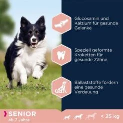 EUKANUBA Senior Small & Medium Breed Lamm & Reis 12 Kg -Hundebedarf Geschäft d6ab91a099af21f8767b6e3ef91e63c46e7659a9 38e1b9385153b1f6364894e35d40afe9cd5b0cab