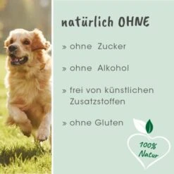 CdVet DarmAktiv Hund & Katze -Hundebedarf Geschäft d6eb10167a92769602341f6bb77e538abb3c8979 1669873 de DE 5094779605b36bf328986df22be8858164a90f82LClOHS