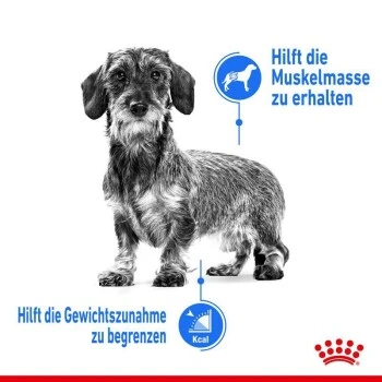 ROYAL CANIN Light Weight Care Mini 8 Kg 8 ROYAL CANIN Light Weight Care Mini 8 Kg – Bild 8