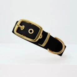 THE DOG IDEA Biothane Halsband Gold Schwarz XS -Hundebedarf Geschäft d9e3ff0533f005d4ea9574e709549404fe1017df 1655410 de DE e623b6a0565fba7c060dba5e6a356eabf0949a0ex5afTX