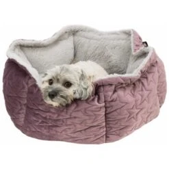 Trixie Bett Estelle Samt-Optik ø 50 Cm Beere/ Grau -Hundebedarf Geschäft daaa6a418407f3b2da35519aef8fc7bc380fccc8 1378629 de DE Trixie 5
