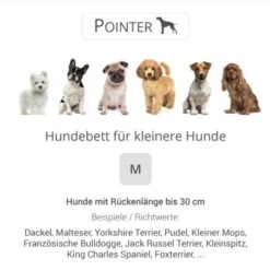 Pointer Liegeplatz Anthrazit M -Hundebedarf Geschäft dacb5d0e68369f55cb762b76a22898271ab868a8 0636d788341d46b965ccfed669d1fb34a1f28af7