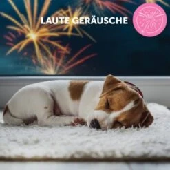 ADAPTIL Junior Halsband Anti Stress Erziehungshalsband -Hundebedarf Geschäft db33920bc3d21bba892bdb530582f20170b9cd84 1287044 9