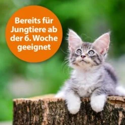 Ardap Zecken- Und Flohpuder 150g -Hundebedarf Geschäft dbdf009c8d0233872761402d57b066832841a21c 1341059 de DE 346ada57fd64265cd7e33fec00853a93b033d4599B7b3A