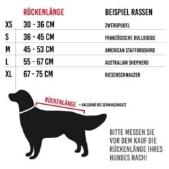 KaraLuna Bademantel Für Hunde XS -Hundebedarf Geschäft dca8f9bdbe8d32cbbb5c937052ddc243ca6902a8 1678940 de DE 41d15ccbf50fa77c99900febfceb264881416609OyVvmx