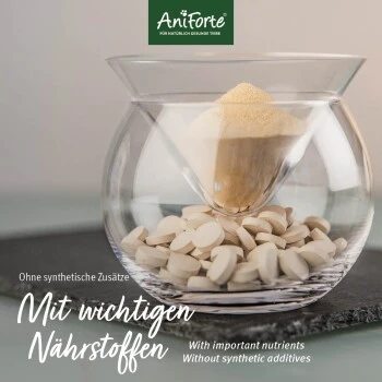 Aniforte Bierhefe Tabs 250 Stück 4 Aniforte Bierhefe Tabs 250 Stück – Bild 4