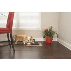 PetSafe Digitaler Futterautomat Für 2 Mahlzeiten -Hundebedarf Geschäft dd3fb1748ad72abb1dbd97f6f077b00bb4d76d05 1291255 de DE cf72a75b3fd4f7fd8b7e51ea368585b22239110fFJga5O