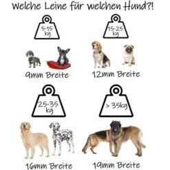 Bio-leine Ab 35 Kg Biothane Schleppleine Türkis 3 M -Hundebedarf Geschäft dd5aeefa64c0e68f95b090cf142edb4ba733cd02 1486998 de DE 9e86c715e549a5f350fc133f6a3d246a11c429bevn0Oee