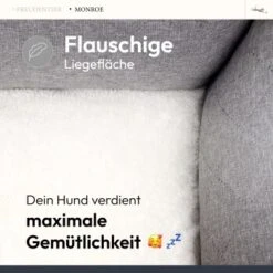 Freudentier Orthopädisches Hundebett Mit Memory Foam, Edel Gesteppt M -Hundebedarf Geschäft ddc2f4a5676b0a38bc9661e63f36bd2616ded3f1 1676841 de DE 5e94b680d7c867ebb8a1b8de52b39e61cad9fa72llMEw1