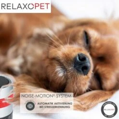RelaxoPet PRO Entspannungs-Trainer HUND -Hundebedarf Geschäft de224d287be26c0354854993fb0e65239f9ec826 1315705 de DE a310aadac7db671f3faae759d92e591bdad669dc4yLyHE