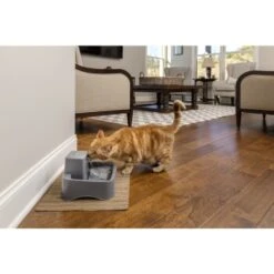 PetSafe Trinkbrunnen 1,8 L 13 PetSafe Trinkbrunnen 1,8 L -Hundebedarf Geschäft df488cf045110a6e0d24fcded3d81de07583d88a 1323706 7