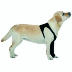 Trovet Suitical Recovery Sleeve XS -Hundebedarf Geschäft e026482c6ebef2b0550a50bb084b9e049ae3ce62 9f3108b1764e2131bf174f9fb2922f034c256bb3