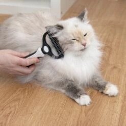 KaraLuna Unterfellbürste -Hundebedarf Geschäft e0e7f4b3ef49c70421b21094c2615519c93a1a3e 1407475 de DE 78030a6cd3af146aa7eb3f83fa2322b52c78816a2jpF0U