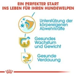 ROYAL CANIN Labrador Retriever Puppy 12 Kg -Hundebedarf Geschäft e35f0db40fad83782fbb2e5385722474800de9a3 ead22dc32e6771e545a9efab52681b0db28bce34