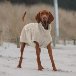 THE DOG IDEA Bademantel Every Beige XXXS -Hundebedarf Geschäft e3729773c9f5b61c18a464eeb5076e81a866013e 1472946 de DE ac504db57b88122680c4cb56470ea23721b69c99VnzO7V