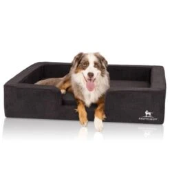 Knuffelwuff Orthopädisches Hundebett Mit Wendekissen Aus Velours Bellamy Schwarz M-L -Hundebedarf Geschäft e3b7bc46ae320ad688559fbe65b93d653050af29 1412229 de DE a8fed7047a4b2b7c518b9afe1b1b115d3d9d2c8emVyF8X