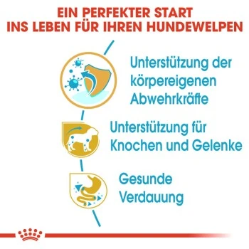 ROYAL CANIN Dachshund Puppy 1,5 Kg 6 ROYAL CANIN Dachshund Puppy 1,5 Kg – Bild 6