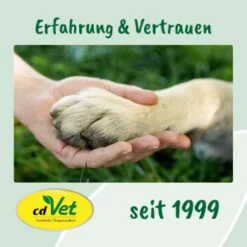 Fell & Haut Vital 150 G -Hundebedarf Geschäft e43eaf71ae161fbb37d73e6d99ceb091a86fef78 1049905 de DE 9de31ae422c889f65e12a1085ee6ba81b11de6a3saphta