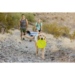 Ruffwear Camp Flyer™ Spielzeug Gelb -Hundebedarf Geschäft e4a37a6a829a29e9ccf8cc78751e0fdb21b1f16a 1444349 de DE aecf8c0098a10a43cb5986118c66a87955de58baPHiPKl