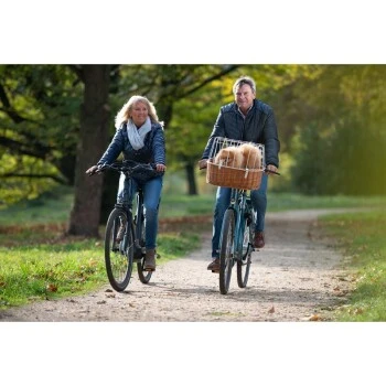 AniOne Fahrradkorb Willow Für Fahrradlenker 2 AniOne Fahrradkorb Willow Für Fahrradlenker – Bild 2